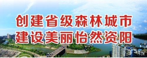 小骚穴大肉奶网站创建省级森林城市 建设美丽怡然资阳